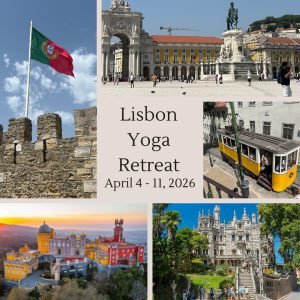 Single Occupancy Fee